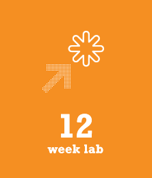 12 week lab