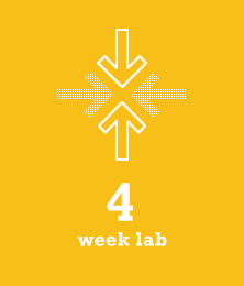 4 week lab