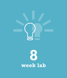 8 week lab